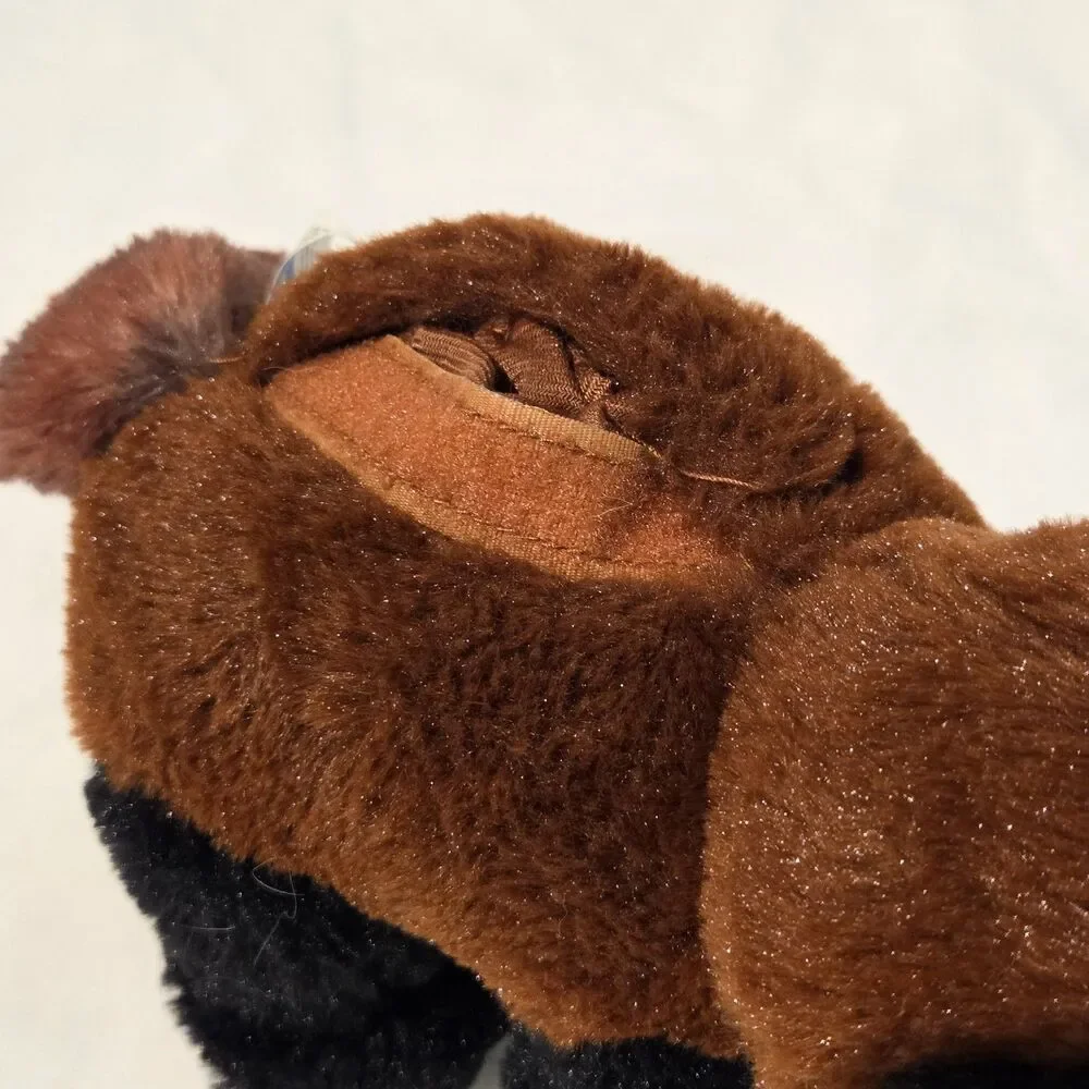 Teddy Mountain 